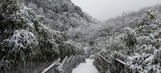 重庆南川金佛山迎来2020年冬季第一场大雪