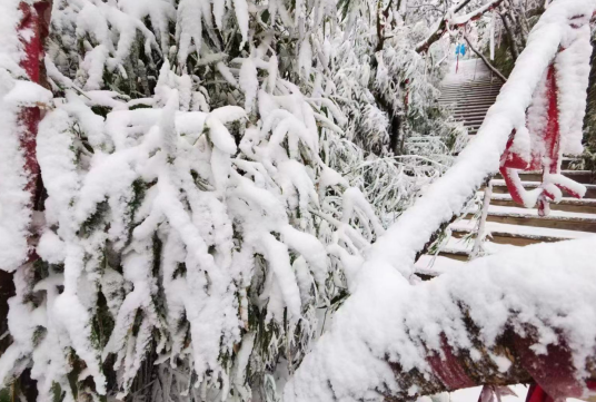 重庆南川金佛山迎来2020年冬季第一场大雪