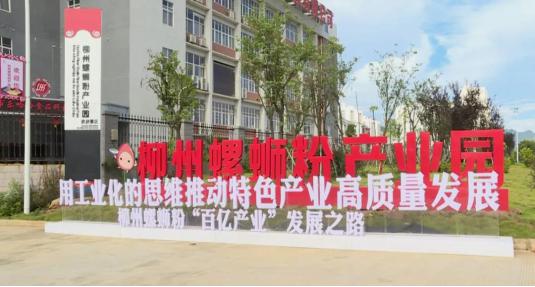 柳州“小个专”党建打造“小米粉‘撬动’大产业”的“柳州样本”