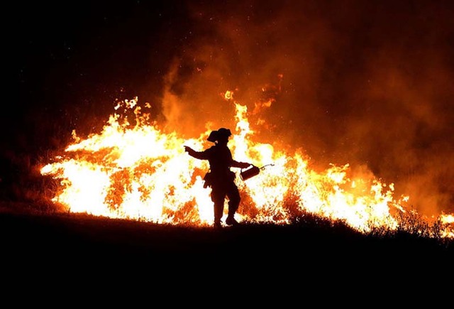 加州超级森林大火持续蔓延 “烧光”美国林务局预算