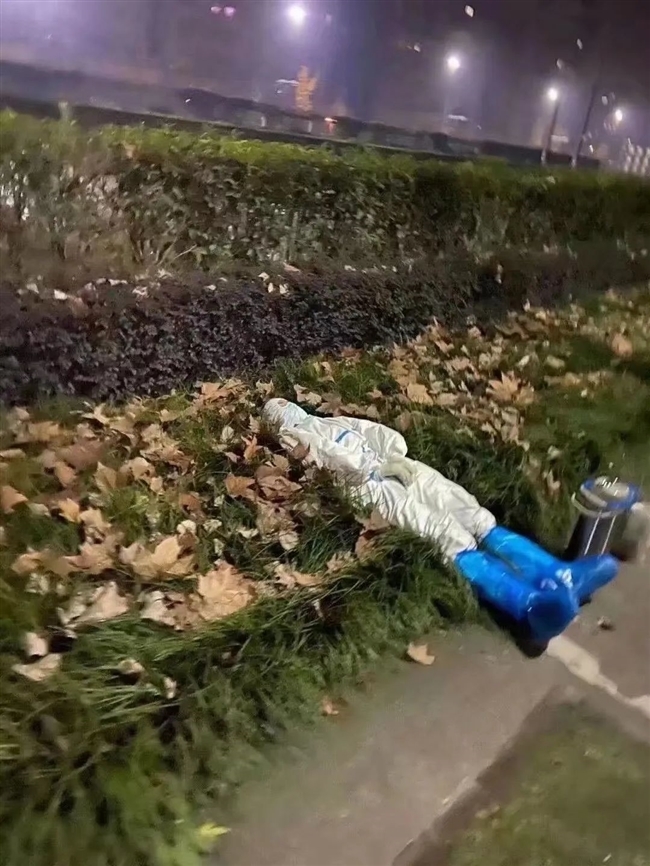 寒风落叶里，你值得整片星空！