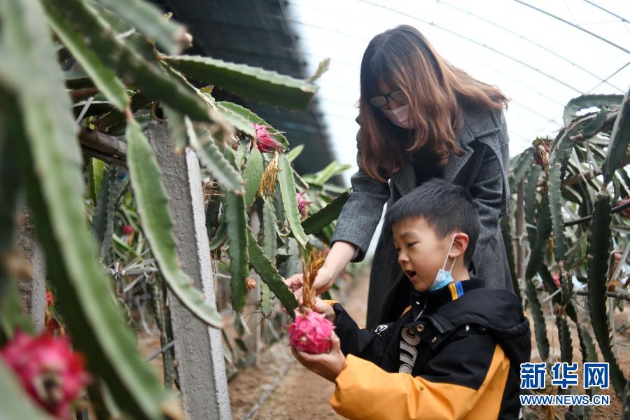 河北遷安：沙土荒地變身現代農業公園