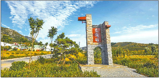 幹群聚力,走好鄉村振興“四步棋”