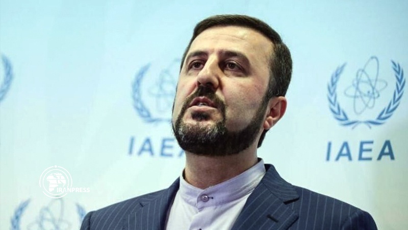 机密文件遭泄露 伊朗称国际原子能机构应修订其保密机制