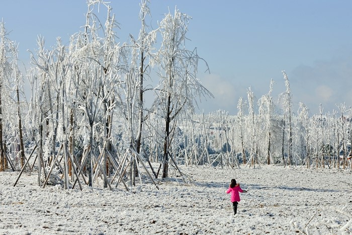 重慶秀山川河蓋景區雪後展美景