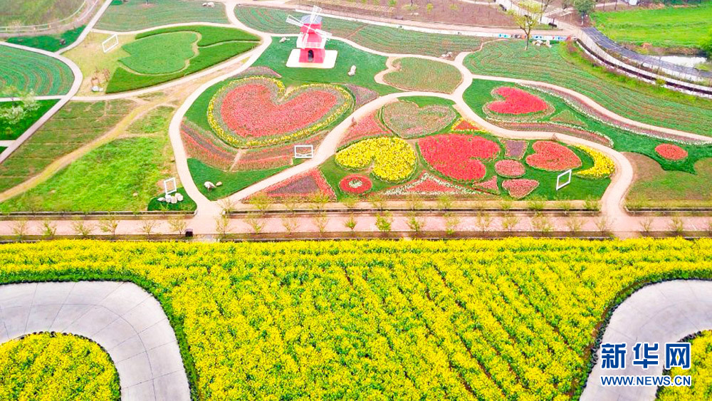 花海春天美 乡村旅游热