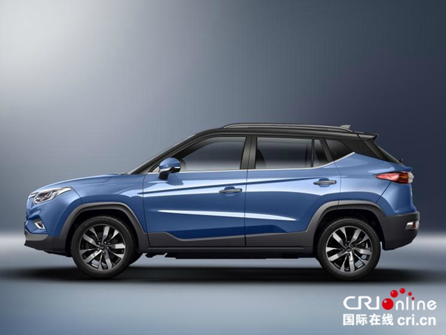 图片默认标题_fororder_8