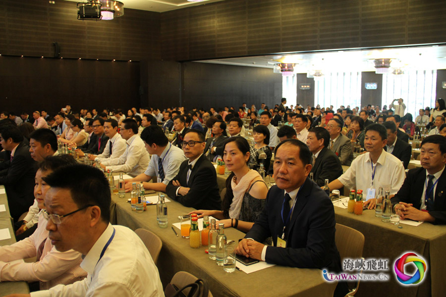 出席当天大会的华人华侨代表。