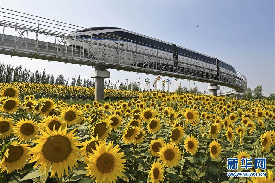 第九届中国花博会装扮一新迎客来