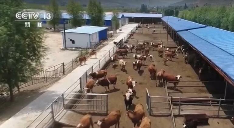 Çin'in en fakir bölgesi yoksulluktan nasıl kurtuldu?
