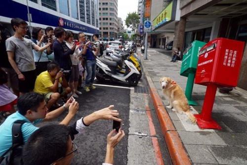 另类"景点":台北邮筒被吹歪变萌 透明厕所人气旺