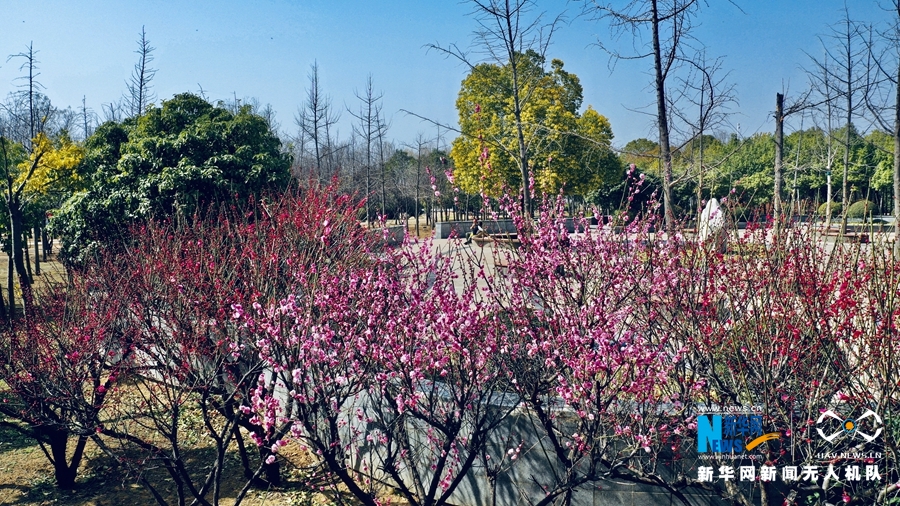 【中原名景-圖片】【焦點圖-大圖】【移動端-輪播圖】平頂山市白龜山國家濕地公園春意濃