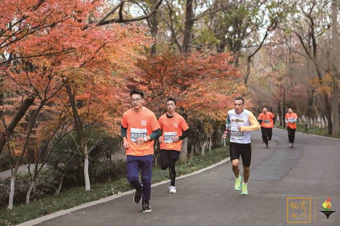 江苏省“秋栖霞”登山大赛举行