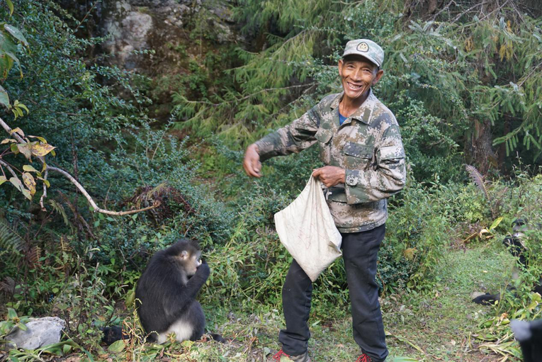 腾讯公益直播 云南白马雪山自然保护区巡护员分享护猴故事