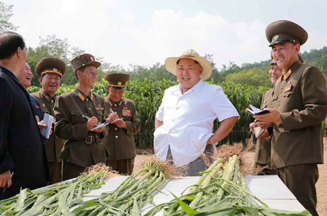 金正恩视察种子农场 强调要解决人民吃饭问题