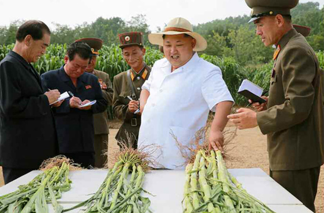 圖片默認標題