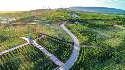 平頂山市郟縣：廣闊天地新作為 綠色崛起萬象新