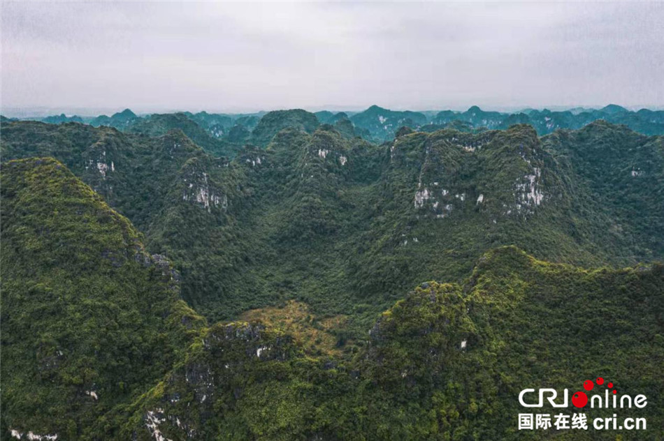 美丽的崇左，白头叶猴的家