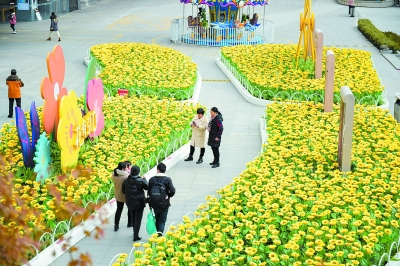南京：“向日葵”扮靚街景
