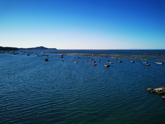 央广网“云上有机农场”计划正式启动