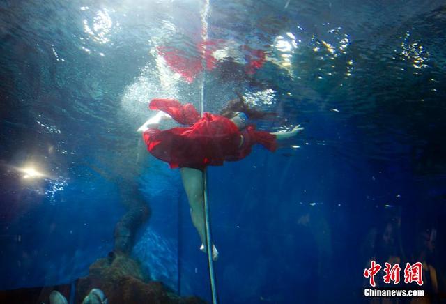 武漢美女水中表演鋼管舞 性感與夢幻相映成色