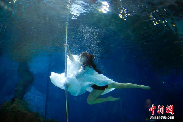 武漢美女水中表演鋼管舞 性感與夢幻相映成色