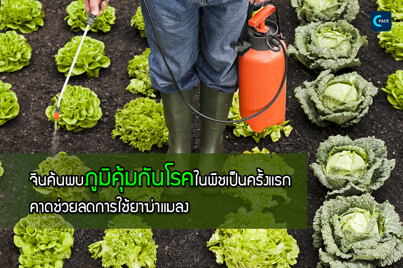 图片默认标题_fororder_08