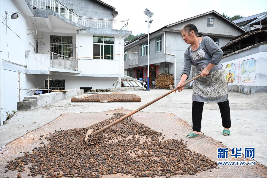 福建三明：革命老村的紅色振興