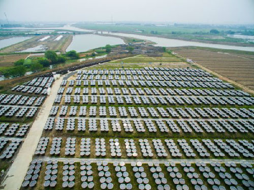 出海記|港媒:百年老字號老恒和釀造進駐北美及歐洲市場 出海記|港媒:百年老字號老恒和釀造進駐北美及歐洲市場