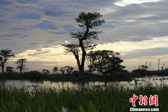 臺(tái)灣企業(yè)在花蓮海灣打造“綠色、智能、文創(chuàng)”新市鎮(zhèn)