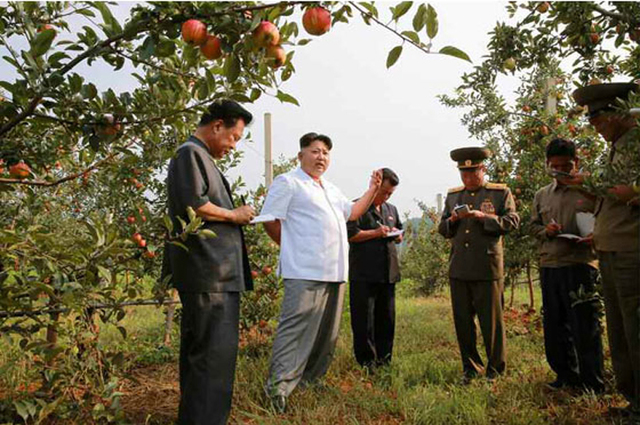 金正恩視察大同江果樹綜合農場 稱讚水果大豐收