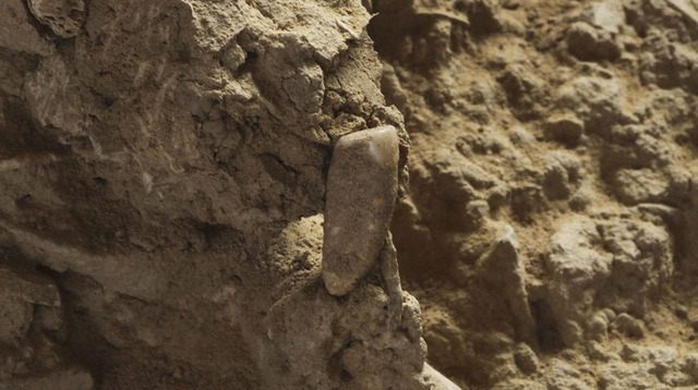 法國發現境內最古老人類牙齒 距今56萬年
