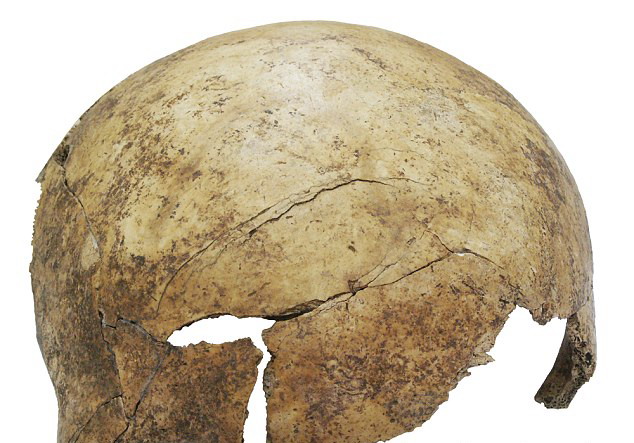 德国发现7000年前集体墓穴 为史前大屠杀遗迹