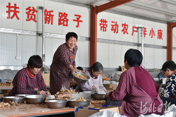 扶贫印记|河北赞皇梁家湾:小核桃开启新生活