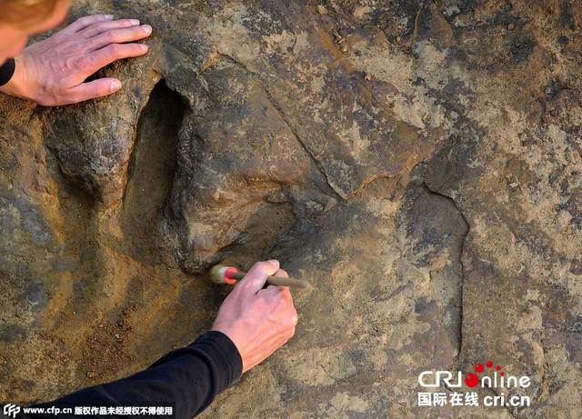 德国考古学家发现90枚恐龙足迹