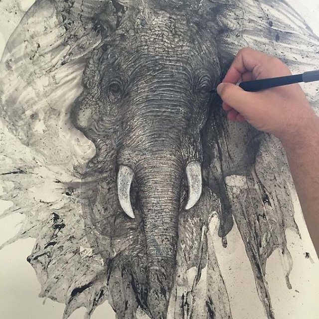 加拿大畫家紙上潑墨 混沌中創造精美作品 加拿大畫家紙上潑墨 混沌中創造精美作品