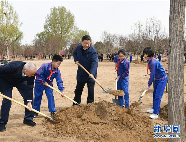 【地評線】“植”入綠色發展理念，四季常綠花果香未來可期