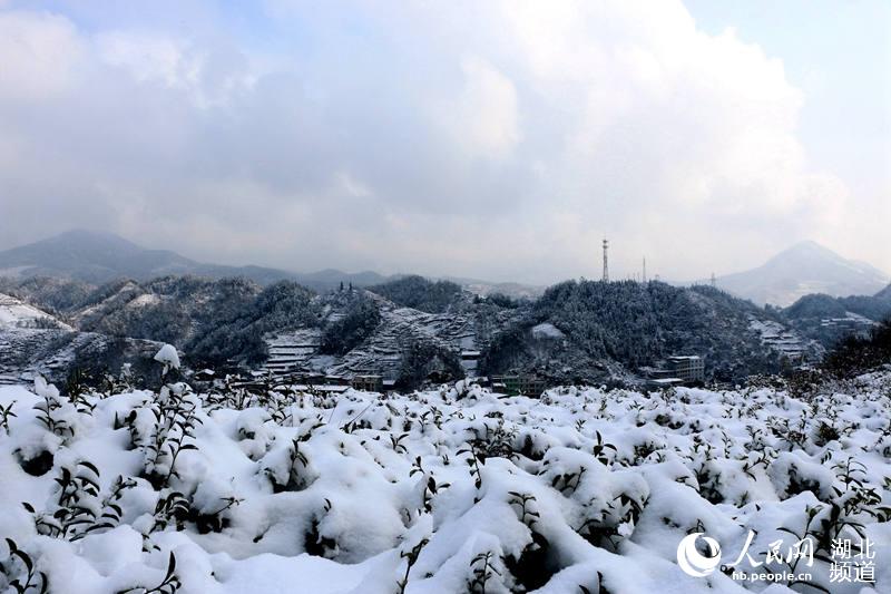 湖北竹山：林海雪原山水美如画