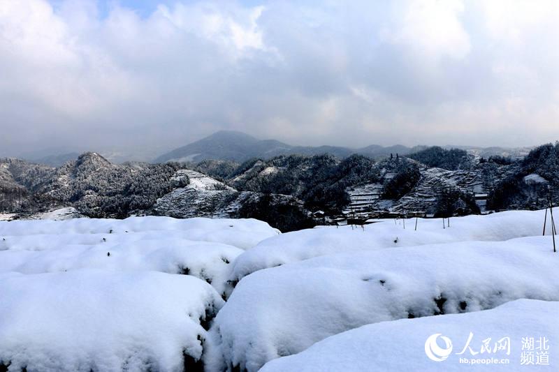 湖北竹山：林海雪原山水美如画