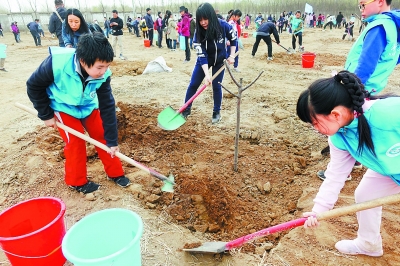 图片默认标题_fororder_植树-1