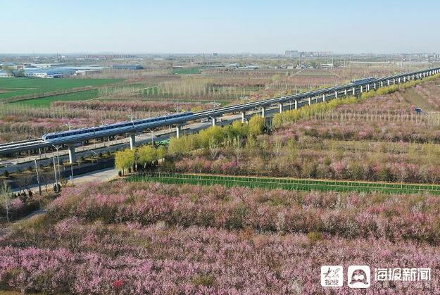 “换乘时代”来临！济南地铁2号线开通在即 4号线开工建设更近一步