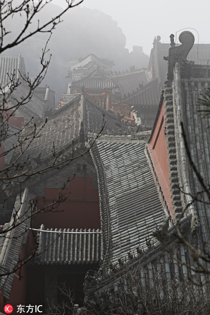 图片默认标题_fororder_416932537274696233