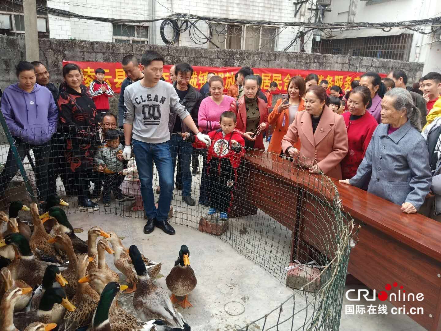 唱嘹歌 赉糍粑 逛庙会 广西各地少数民族传统民俗齐上阵迎新春