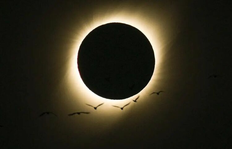 流星雨、日全食...2020年底天文“收官大戏”别错过！一份观测指南来了