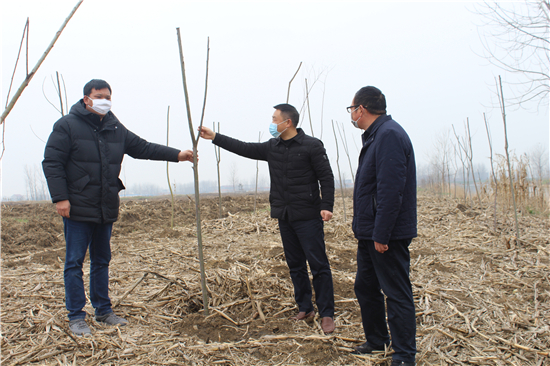 （灌雲縣龍苴鎮政府 供稿 縣域經濟列表 三吳大地連雲港 移動版）【蘇力同心戰疫情】連雲港市灌雲縣龍苴鎮統籌推進疫情防控與國土綠化工作