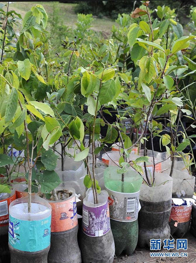 金磚國家綠色發展之路