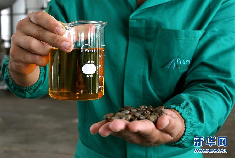 金磚國家綠色發展之路