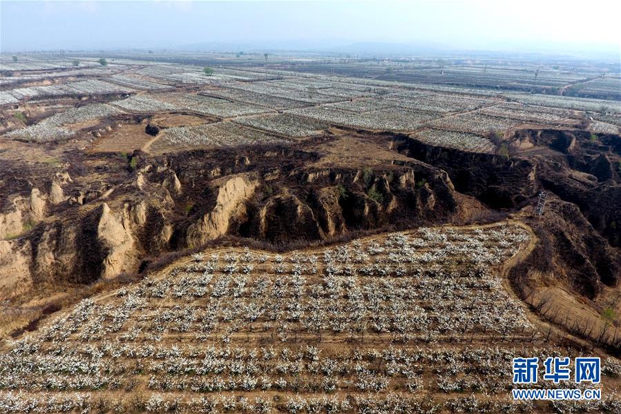 图片默认标题_fororder_2