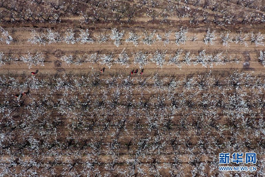 图片默认标题_fororder_3