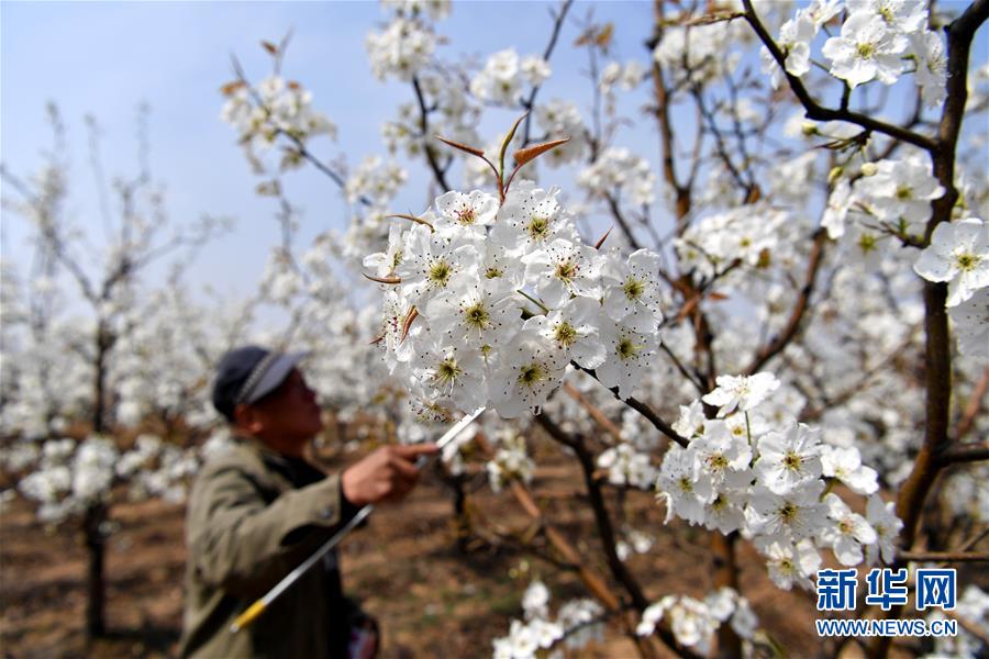 图片默认标题_fororder_4